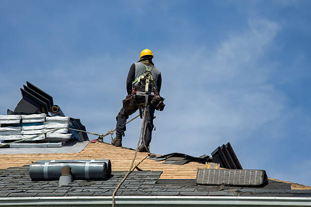 Professional Roof Installation technician working in Fairfax, MN